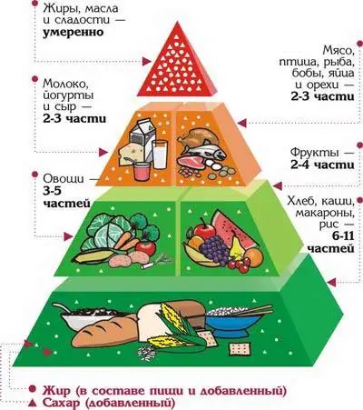 пирамида питания.jpg